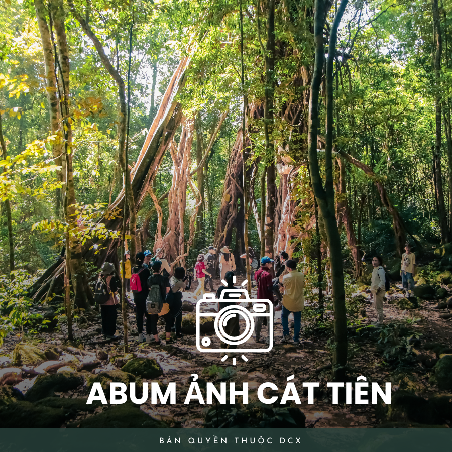 Album ảnh cát tiên