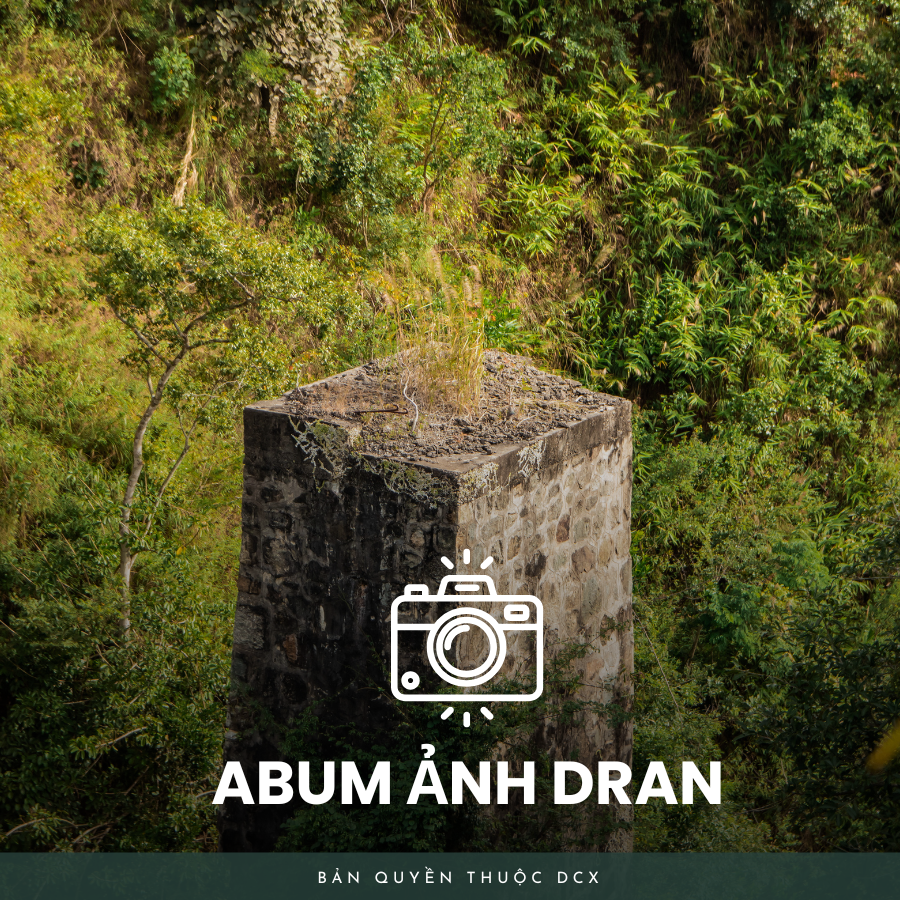 Album ảnh d'ran