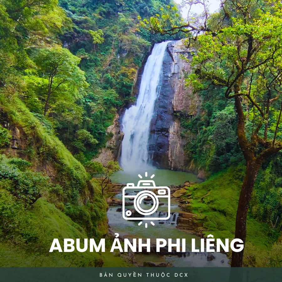 Album ảnh phi liêng