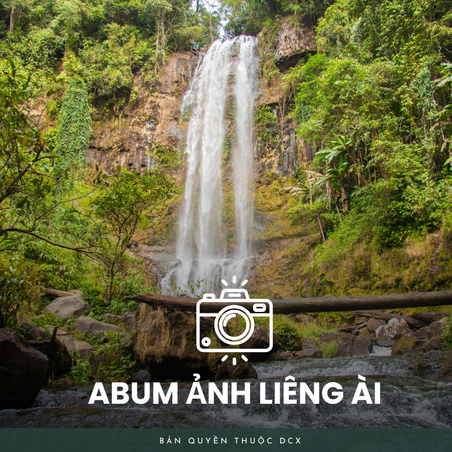 Album ảnh liêng ài