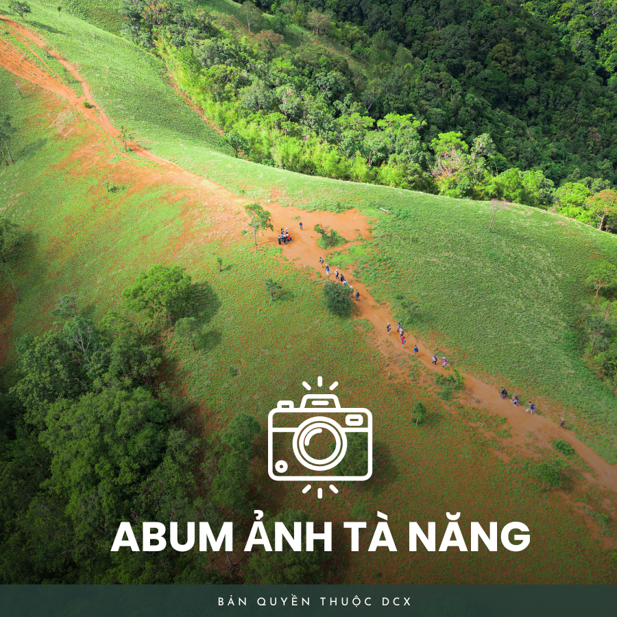 Album ảnh tà năng