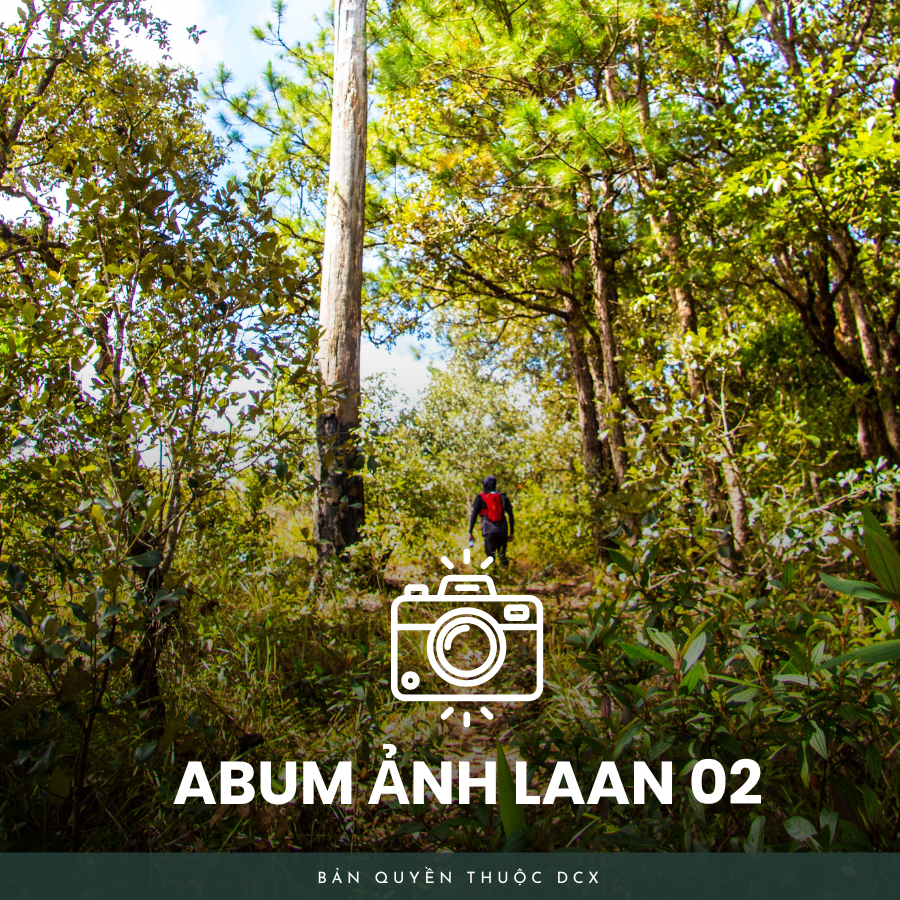 Album ảnh laan 02