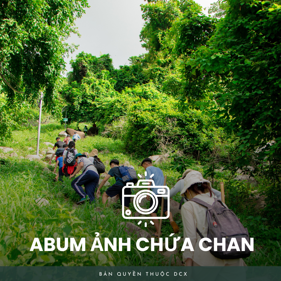 Album ảnh chứa chan