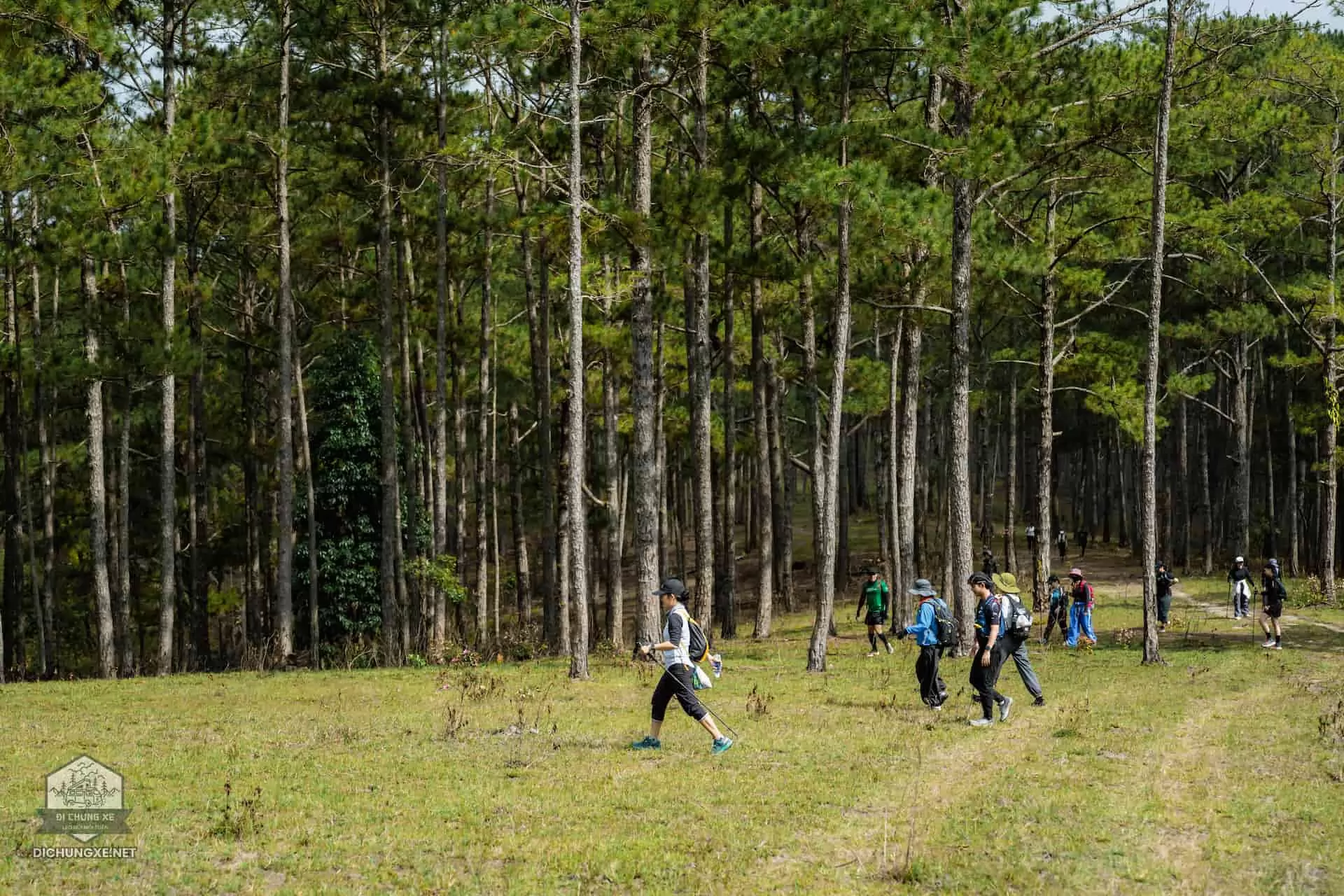 Đạ M'Lot - Con Đường Bắt Chồng