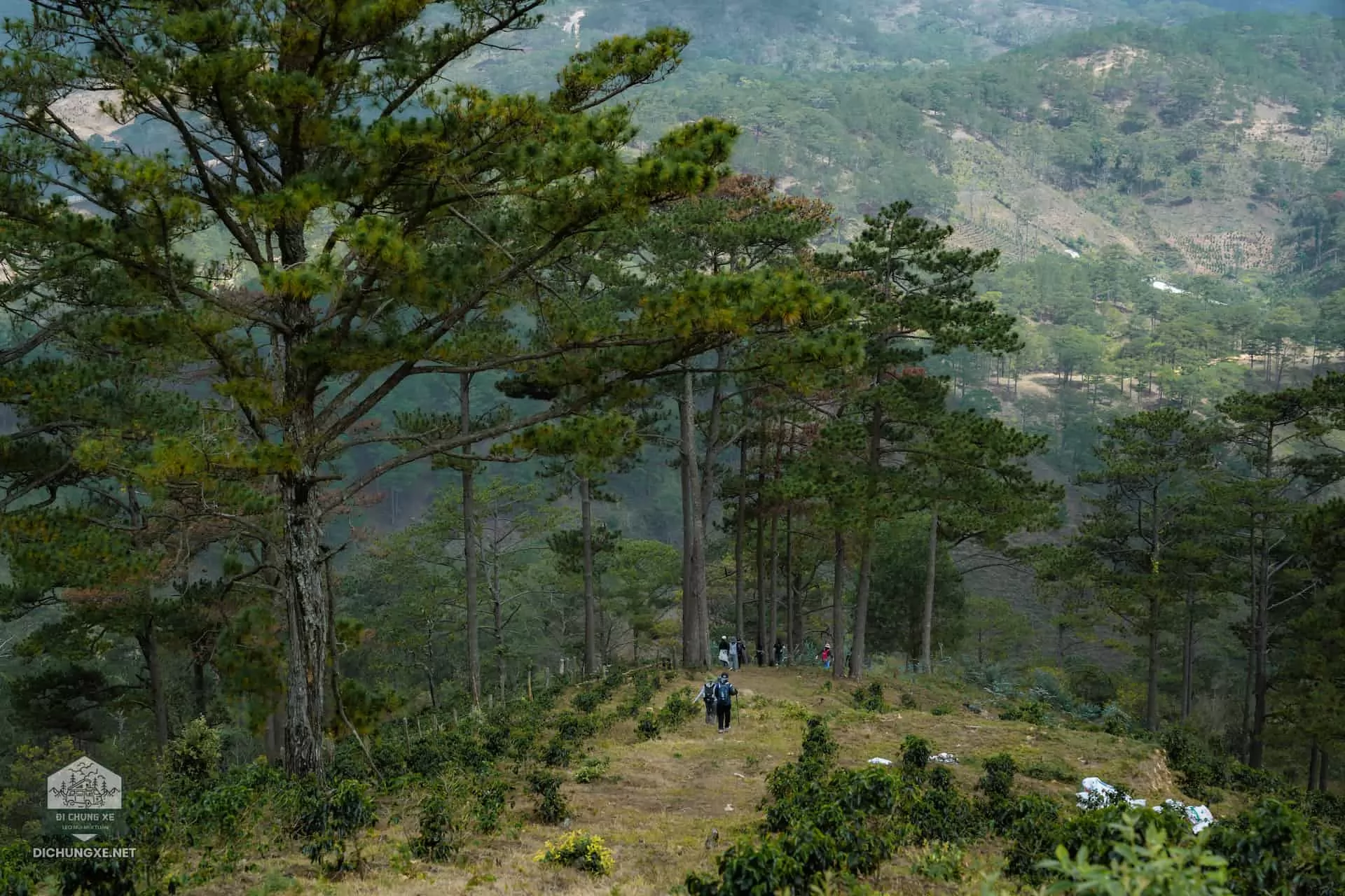 Đạ M'Lot - Con Đường Bắt Chồng