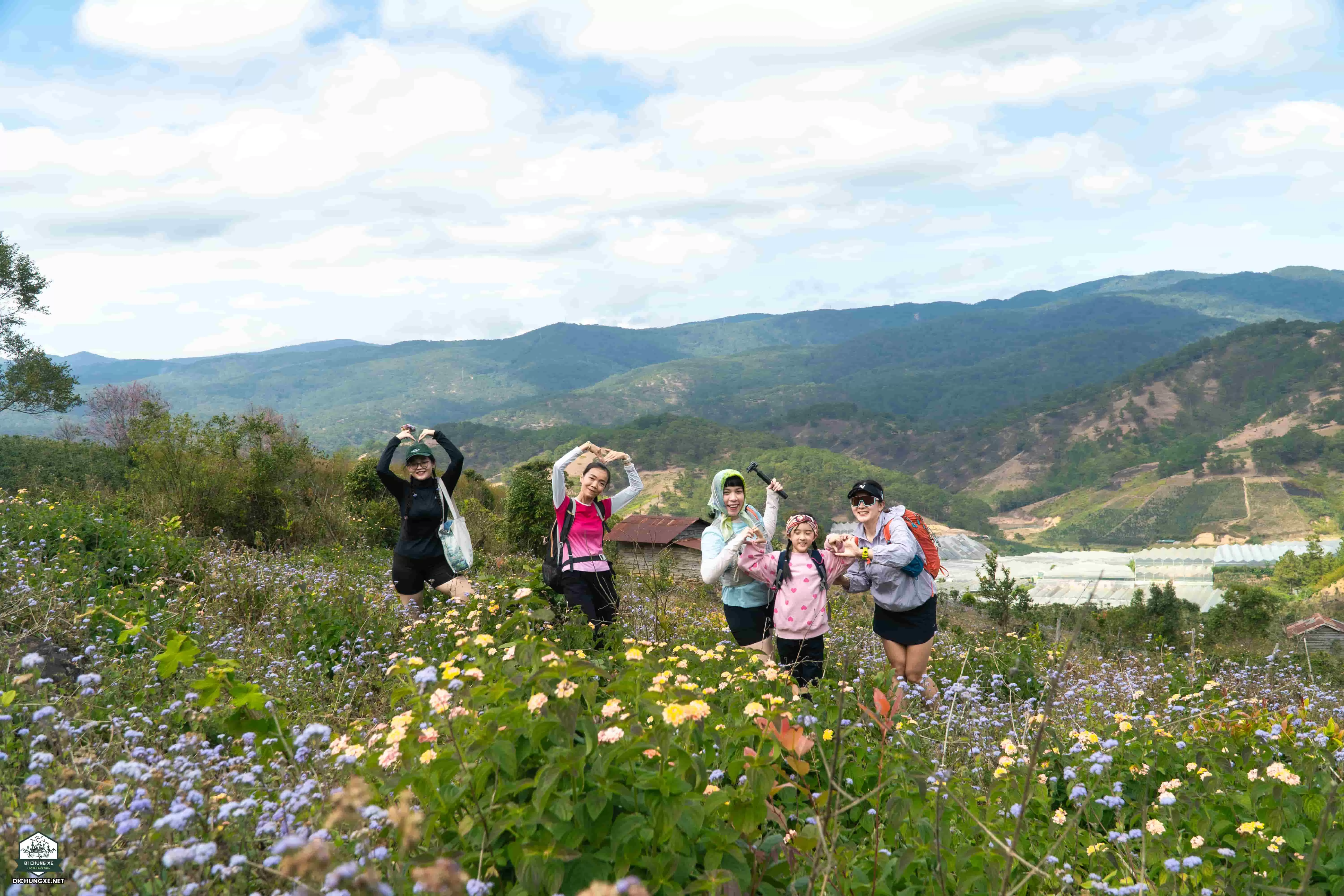 Mộng Đào Nguyên - Rừng mai anh đào Đà Lạt