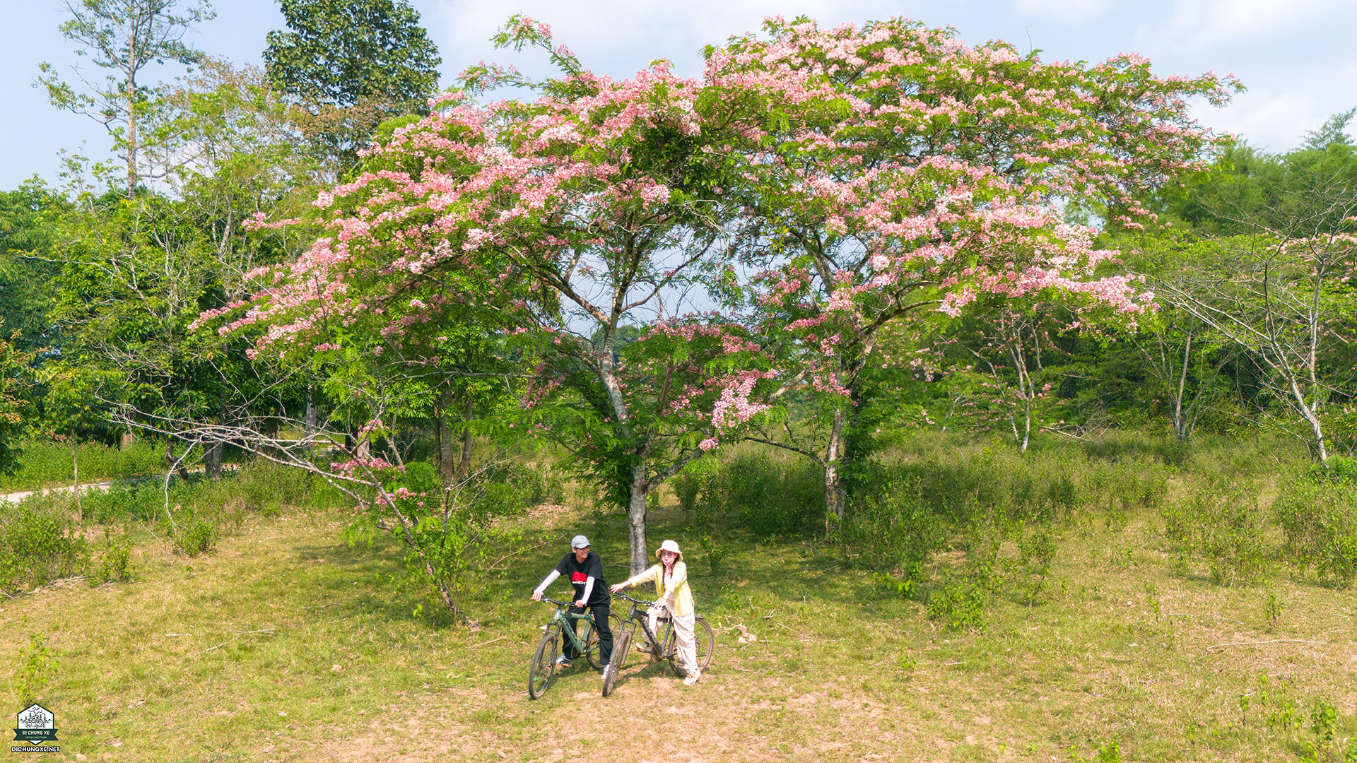 VQG Nam Cát Tiên - Khu dự trữ sinh quyển thế giới