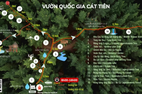 Cẩm nang tham quan Vườn Quốc gia Cát Tiên năm 2025
