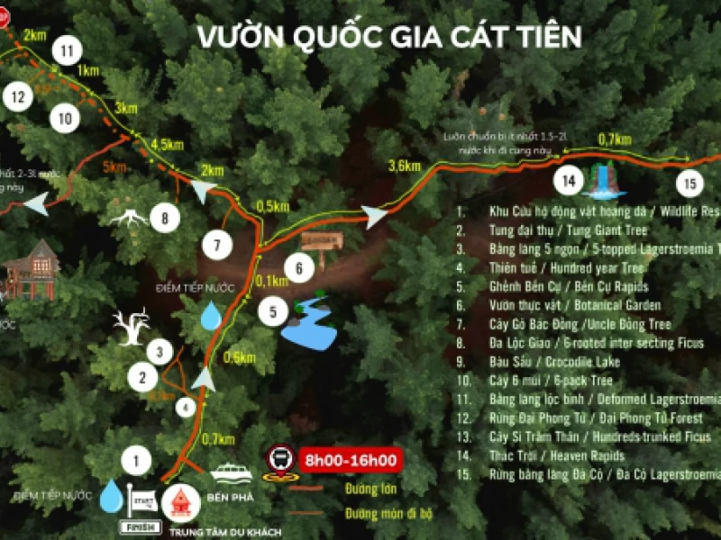 Cẩm nang tham quan Vườn Quốc gia Cát Tiên năm 2025